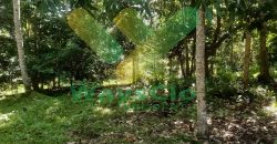 DIJUAL CEPAT TANAH MENARIK DAERAH INDUSTRI MINUT, HARGA SANGAT MURAH