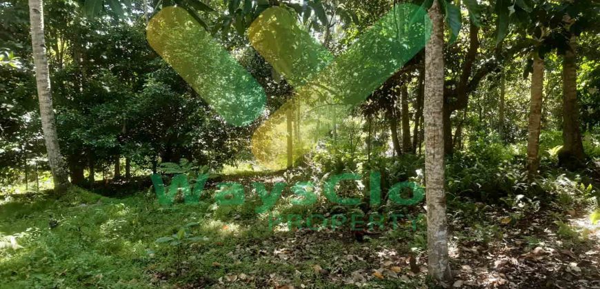 DIJUAL CEPAT TANAH MENARIK DAERAH INDUSTRI MINUT, HARGA SANGAT MURAH