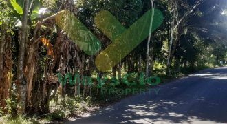DIJUAL CEPAT TANAH MENARIK DAERAH INDUSTRI MINUT, HARGA SANGAT MURAH