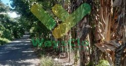 DIJUAL CEPAT TANAH MENARIK DAERAH INDUSTRI MINUT, HARGA SANGAT MURAH