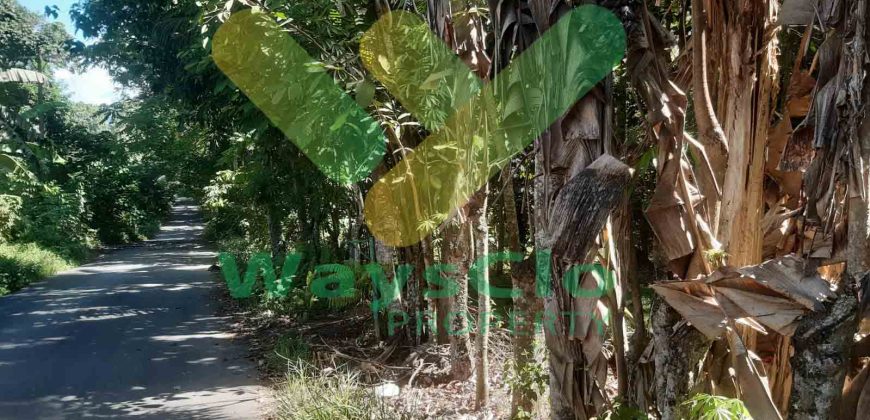 DIJUAL CEPAT TANAH MENARIK DAERAH INDUSTRI MINUT, HARGA SANGAT MURAH