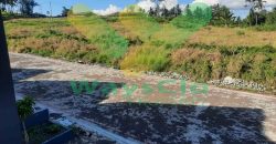DISEWAKAN RUMAH CANTIK MASIH BARU DI SAWANGAN PERMAI, HARGA PALING MURAH