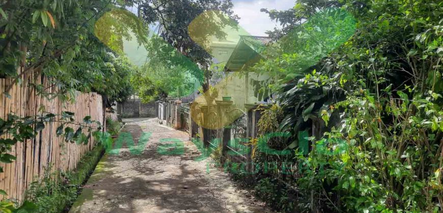 DIJUAL CEPAT TANAH MENARIK BELAKANG KAMPUS UNCLAB, HARGA SANGAT MURAH