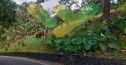 DIJUAL CEPAT TANAH MENARIK DENGAN VIEW CANTIK KOTA MANADO, HARGA SANGAT MURAH