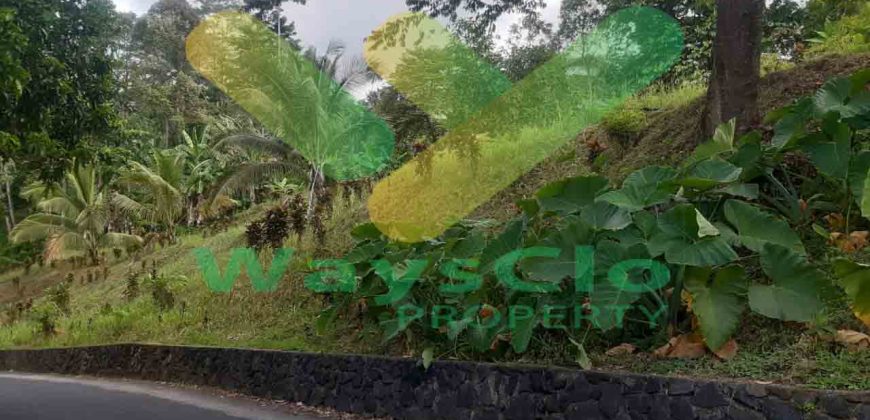 DIJUAL CEPAT TANAH MENARIK DENGAN VIEW CANTIK KOTA MANADO, HARGA SANGAT MURAH