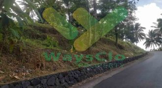 DIJUAL CEPAT TANAH MENARIK DENGAN VIEW CANTIK KOTA MANADO, HARGA SANGAT MURAH