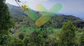 DIJUAL CEPAT TANAH PARIWISATA VIEW SANGAT INDAH DAERAH TOMOHON, HARGA SANGAT MURAH