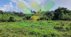 DIJUAL CEPAT TANAH STRATEGIS DAERAH MAPANGET, HARGA DI BAWAH PASARAN