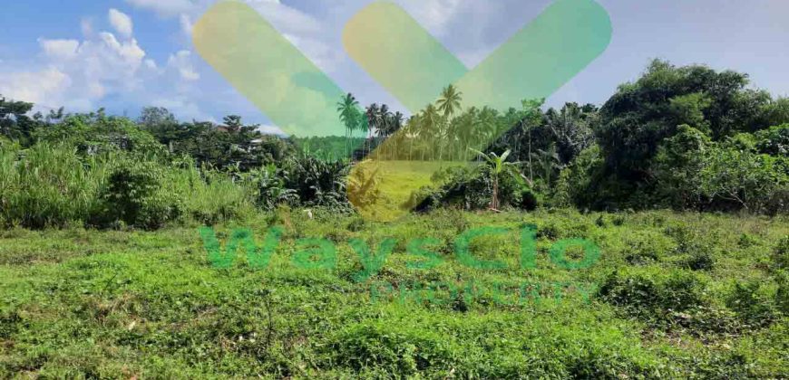 DIJUAL CEPAT TANAH STRATEGIS DAERAH MAPANGET, HARGA DI BAWAH PASARAN