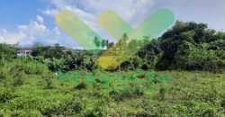 DIJUAL CEPAT TANAH STRATEGIS DAERAH MAPANGET, HARGA DI BAWAH PASARAN