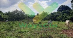 DIJUAL CEPAT TANAH STRATEGIS DAERAH MAPANGET, HARGA DI BAWAH PASARAN