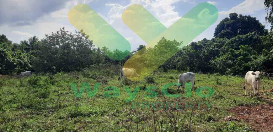 DIJUAL CEPAT TANAH STRATEGIS DAERAH MAPANGET, HARGA DI BAWAH PASARAN