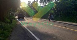 DIJUAL CEPAT TANAH SANGAT STRATEGIS DAERAH KAIRAGI, HARGA SANGAT MURAH