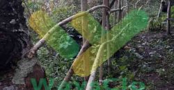 DIJUAL CEPAT TANAH STRATEGIS MALALAYANG KENA JALUR RINGROAD 3, HARGA DI BAWAH PASARAN