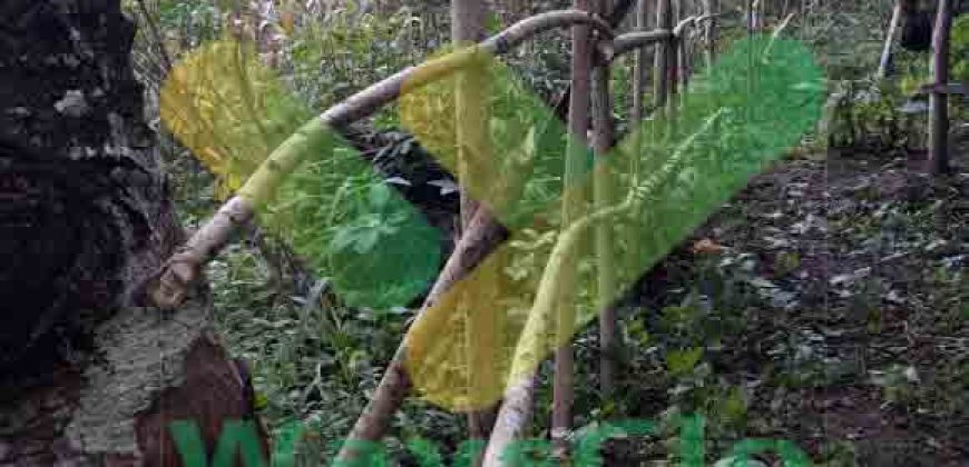 DIJUAL CEPAT TANAH STRATEGIS MALALAYANG KENA JALUR RINGROAD 3, HARGA DI BAWAH PASARAN