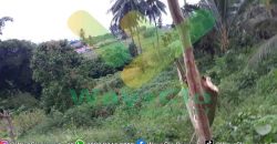 DIJUAL CEPAT TANAH STRATEGIS MALALAYANG KENA JALUR RINGROAD 3, HARGA DI BAWAH PASARAN