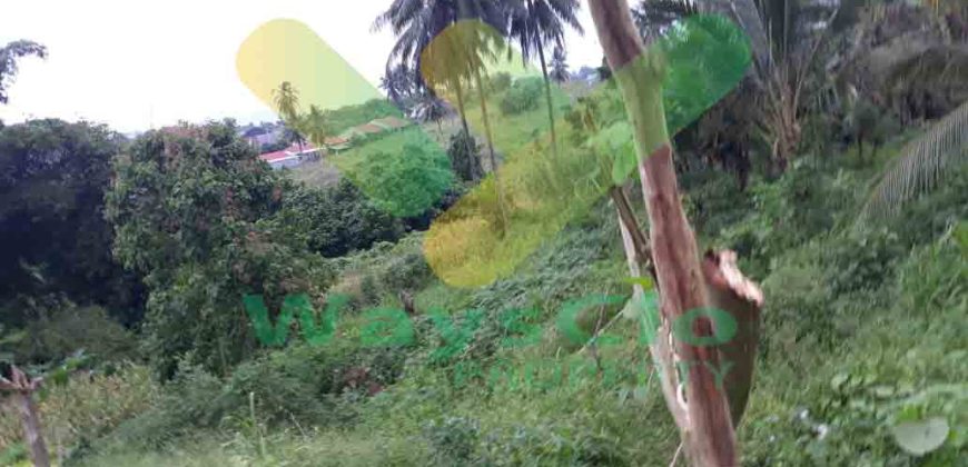 DIJUAL CEPAT TANAH STRATEGIS MALALAYANG KENA JALUR RINGROAD 3, HARGA DI BAWAH PASARAN