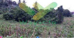 DIJUAL CEPAT TANAH STRATEGIS MALALAYANG KENA JALUR RINGROAD 3, HARGA DI BAWAH PASARAN