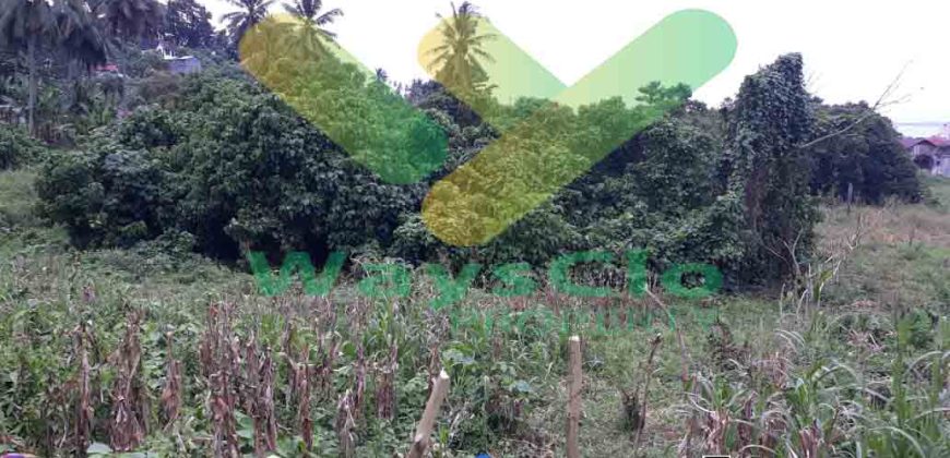 DIJUAL CEPAT TANAH STRATEGIS MALALAYANG KENA JALUR RINGROAD 3, HARGA DI BAWAH PASARAN