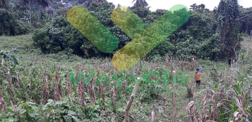 DIJUAL CEPAT TANAH STRATEGIS MALALAYANG KENA JALUR RINGROAD 3, HARGA DI BAWAH PASARAN