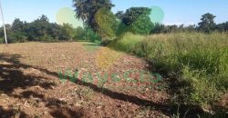DIJUAL CEPAT TANAH CANTIK DAN MENARIK DAERAH KAUDITAN, HARGA SANGAT MURAH