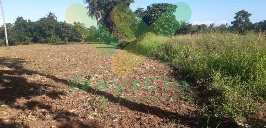 DIJUAL CEPAT TANAH CANTIK DAN MENARIK DAERAH KAUDITAN, HARGA SANGAT MURAH