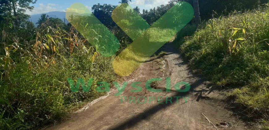 DIJUAL CEPAT TANAH CANTIK DAN MENARIK DAERAH KAUDITAN, HARGA SANGAT MURAH