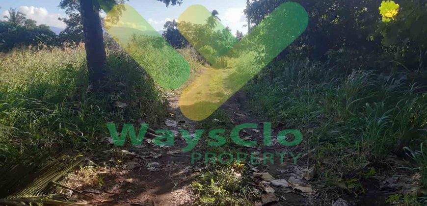 DIJUAL CEPAT TANAH CANTIK DAN MENARIK DAERAH KAUDITAN, HARGA SANGAT MURAH