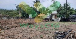 DISEWAKAN TANAH MENARIK DAN STRATEGIS DAERAH KOKA TELING, HARGA SANGAT MURAH