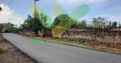 DISEWAKAN TANAH MENARIK DAN STRATEGIS DAERAH KOKA TELING, HARGA SANGAT MURAH
