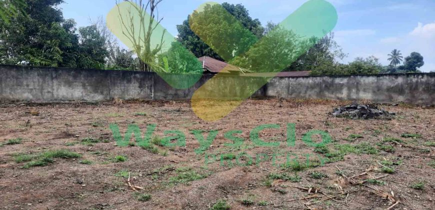 DISEWAKAN TANAH MENARIK DAN STRATEGIS DAERAH KOKA TELING, HARGA SANGAT MURAH