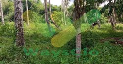 DIJUAL CEPAT TANAH CANTIK DAN MENARIK DI JLN SOEKARNO, HARGA SANGAT MURAH