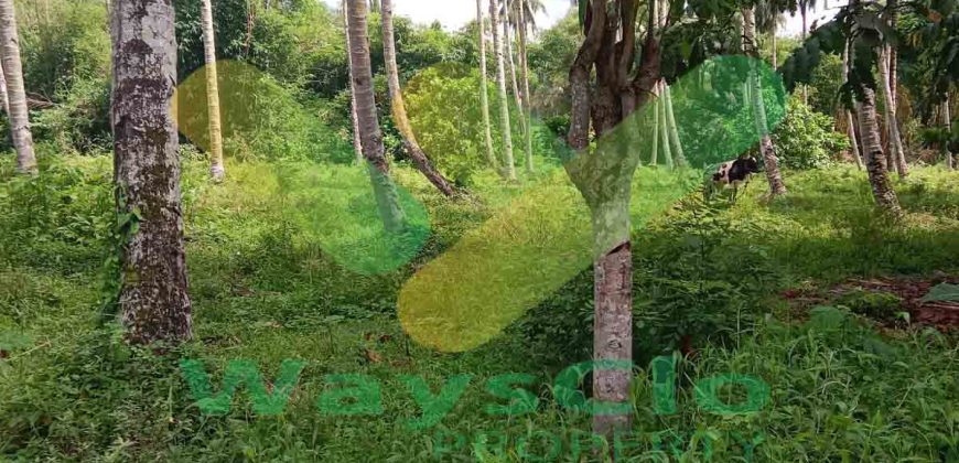 DIJUAL CEPAT TANAH CANTIK DAN MENARIK DI JLN SOEKARNO, HARGA SANGAT MURAH