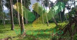 DIJUAL CEPAT TANAH CANTIK DAN MENARIK DI JLN SOEKARNO, HARGA SANGAT MURAH