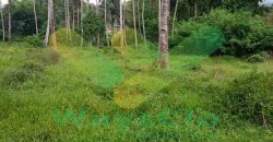 DIJUAL CEPAT TANAH CANTIK DAN MENARIK DI JLN SOEKARNO, HARGA SANGAT MURAH