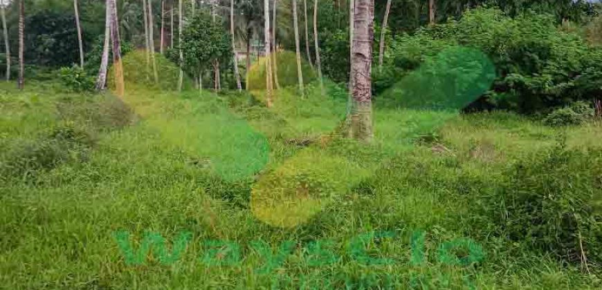 DIJUAL CEPAT TANAH CANTIK DAN MENARIK DI JLN SOEKARNO, HARGA SANGAT MURAH