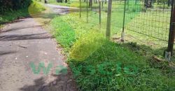DIJUAL CEPAT TANAH CANTIK DAN MENARIK DI JLN SOEKARNO, HARGA SANGAT MURAH