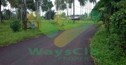 DIJUAL CEPAT TANAH CANTIK DAN MENARIK DI JLN SOEKARNO, HARGA SANGAT MURAH