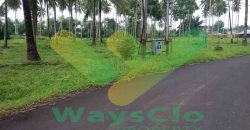 DIJUAL CEPAT TANAH CANTIK DAN MENARIK DI JLN SOEKARNO, HARGA SANGAT MURAH
