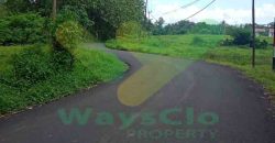 DIJUAL CEPAT TANAH CANTIK DAN MENARIK DI JLN SOEKARNO, HARGA SANGAT MURAH