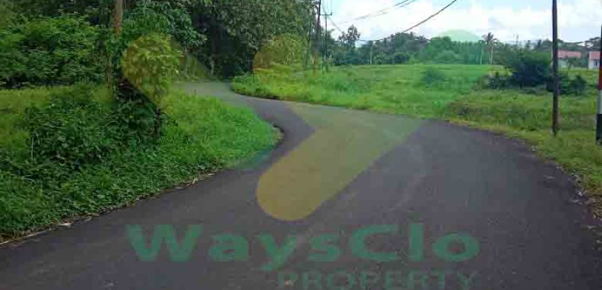 DIJUAL CEPAT TANAH CANTIK DAN MENARIK DI JLN SOEKARNO, HARGA SANGAT MURAH
