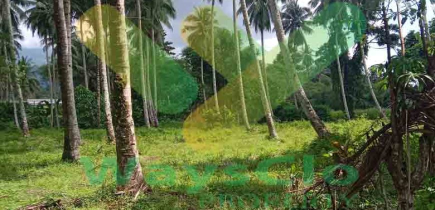 DIJUAL CEPAT TANAH CANTIK DAN MENARIK DI JLN SOEKARNO, HARGA SANGAT MURAH