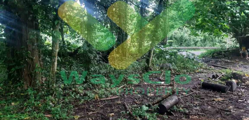 DIJUAL CEPAT TANAH MURAH SANGAT STRATEGIS DAERAH KAUDITAN, HARGA SANGAT MURAH