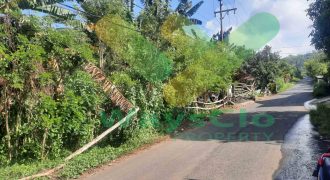 DIJUAL CEPAT TANAH CANTIK DAN MENARIK DAERAH MALALAYANG, HARGA SANGAT MURAH