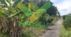 DIJUAL CEPAT TANAH CANTIK DAN SANGAT MURAH DAERAH MALALAYANG, HARGA DI BAWAH PASARAN