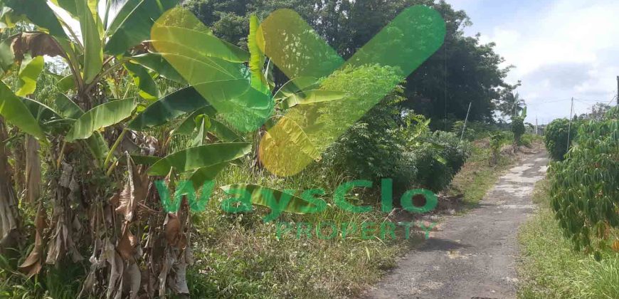 DIJUAL CEPAT TANAH CANTIK DAN SANGAT MURAH DAERAH MALALAYANG, HARGA DI BAWAH PASARAN
