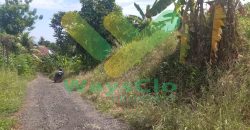 DIJUAL CEPAT TANAH CANTIK DAN SANGAT MURAH DAERAH MALALAYANG, HARGA DI BAWAH PASARAN