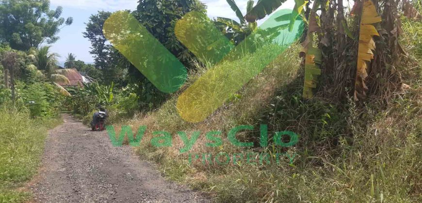 DIJUAL CEPAT TANAH CANTIK DAN SANGAT MURAH DAERAH MALALAYANG, HARGA DI BAWAH PASARAN