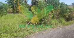 DIJUAL CEPAT TANAH CANTIK DAN SANGAT MURAH DAERAH MALALAYANG, HARGA DI BAWAH PASARAN