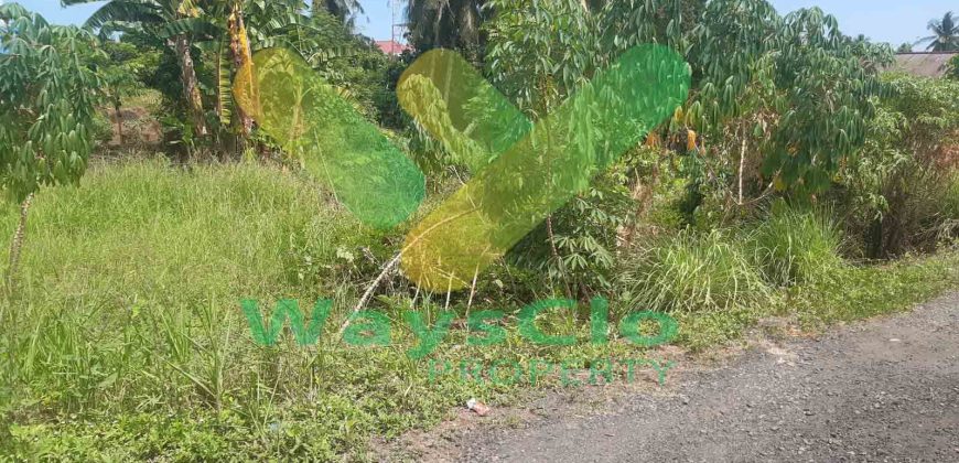 DIJUAL CEPAT TANAH CANTIK DAN SANGAT MURAH DAERAH MALALAYANG, HARGA DI BAWAH PASARAN